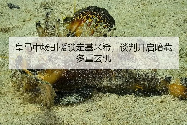 皇马中场引援锁定基米希，谈判开启暗藏多重玄机